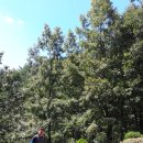 성유 마을회관 이미지