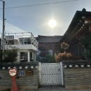 자담정