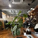 부산 신길이네 미장원에서 커트했더니, 스타일이 확 달라졌어요!✂️”너무 너무 맘에 드는 단발 테슬컷 !!