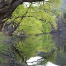 반곡목장 이미지