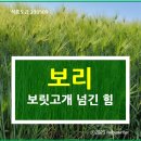 윤용하 농장 이미지