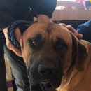 태산동물병원 이미지