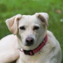 골라먹는재미 이미지