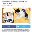 고양이 발바닥 이미지