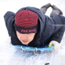 형진농장 이미지