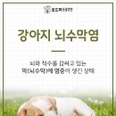 인동동물병원 이미지