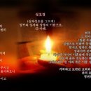 [이 아침에 평화를(나해) 11-12-03] - 성 프란치스코 하비에르 사제(선교의 수호자) 대축일 이미지