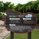 시민운동장 보조경기장 인라인스케이트장 네이버블로그