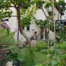 판교기쁨공인중개사사무소 이미지