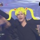 스테이 도토리 이미지