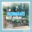 트래블서치 제주안에서 : vol.3 그 해 여름은 3박 4일의 행복 첫째날