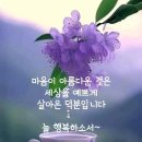 이쁜글 이쁜 사진 이미지