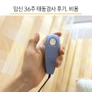 임신 36주 태동검사 환급 보험적용 횟수 비용, 수축 그래프 심박수 후기
