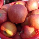 덕산농원 이미지