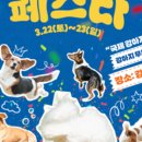 도그앤푸드 이미지