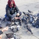 플로리안(3) 이미지