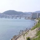 영도