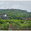 서동리 마을회관 이미지