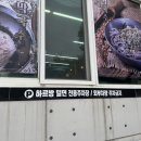 하르방밀면공항점 | 제주공항 근처 로컬 도민맛집 보말칼국수 원조 1세대 보말칼국수 맛집 &#39;하르방밀면 제주공항점&#39; 솔직후기