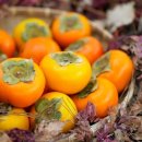 진영푸드 이미지