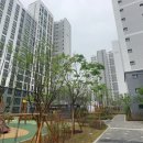 고덕국제신도시 금호어울림 이미지