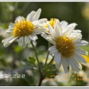 박희용 농장 이미지