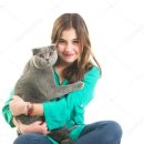 애묘(고양이)백과 - 스코티시 폴드 (Scottish fold) 이미지