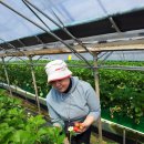 세종학당농장 이미지