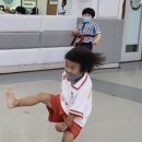 용인대지노태권스쿨 이미지