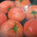 하마직구