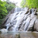 여름탐방(가족) 이미지