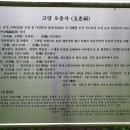 매화정 이미지