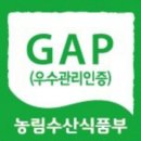 청송꿀사과