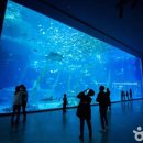 한국해양수조공사 이미지