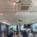 헤어모드 이미지