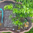 팔봉산영농조합법인 이미지