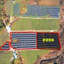 마루 태양광발전소 이미지