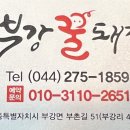 부강 꿀돼지 이미지