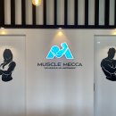 머슬메카 이미지