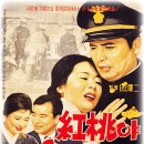 홍도야울지마라