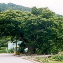 의평마을 이미지