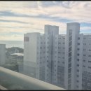 HausD블루오션 이미지