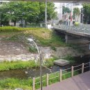 애니카랜드 상하점 이미지