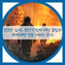 월드크리닝경북 이미지