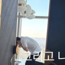 SOIGNE 스와니예 런치 후기