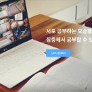 구루미 이미지