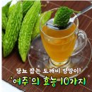 당뇨 잡는 도깨비 방망이! '여주'의 효능 10가지 이미지