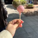 (주)송아 | 11월 둘째주 콘텐츠 추천과 포항 다녀오기