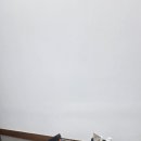 가발히트모