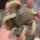 주식회사 올바른푸드